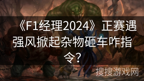 《F1经理2024》正赛遇强风掀起杂物砸车咋指令？
