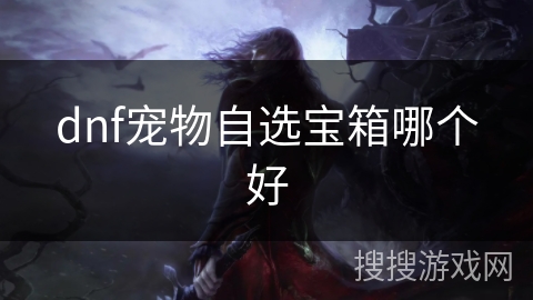 dnf宠物自选宝箱哪个好