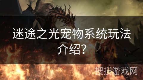 迷途之光宠物系统玩法介绍？