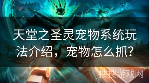 天堂之圣灵宠物系统玩法介绍,宠物怎么抓? 天堂之圣灵宠物系统玩法介绍,宠物怎么抓?