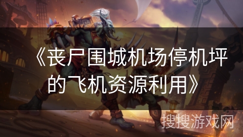 《丧尸围城机场停机坪的飞机资源利用》