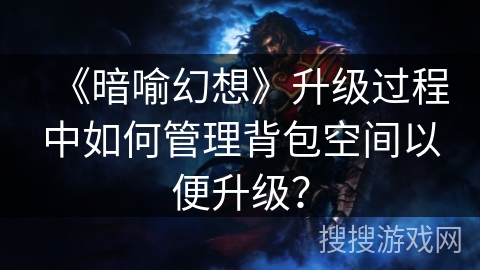 《暗喻幻想》升级过程中如何管理背包空间以便升级？