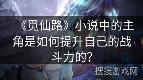 《觅仙路》小说中的主角是如何提升自己的战斗力的？