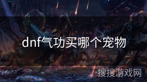 dnf气功买哪个宠物