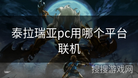 泰拉瑞亚pc用哪个平台联机