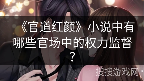 《官道红颜》小说中有哪些官场中的权力监督？