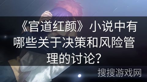 《官道红颜》小说中有哪些关于决策和风险管理的讨论？