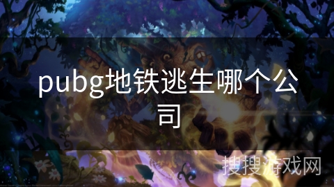 pubg地铁逃生哪个公司 pubg地铁逃生哪个公司