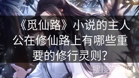 《觅仙路》小说的主人公在修仙路上有哪些重要的修行灵则？