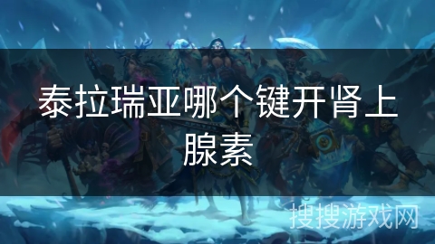 泰拉瑞亚哪个键开肾上腺素