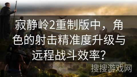 寂静岭2重制版中，角色的射击精准度升级与远程战斗效率？