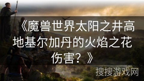 《魔兽世界太阳之井高地基尔加丹的火焰之花伤害？》