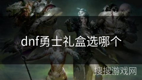 dnf勇士礼盒选哪个