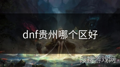 dnf贵州哪个区好