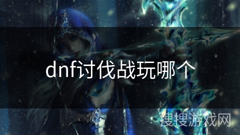 dnf讨伐战玩哪个