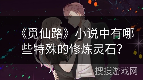 《觅仙路》小说中有哪些特殊的修炼灵石？