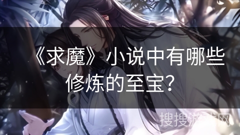 《求魔》小说中有哪些修炼的至宝？