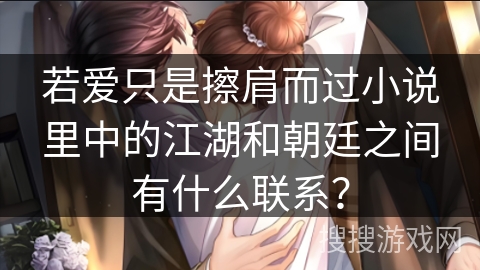 若爱只是擦肩而过小说里中的江湖和朝廷之间有什么联系?