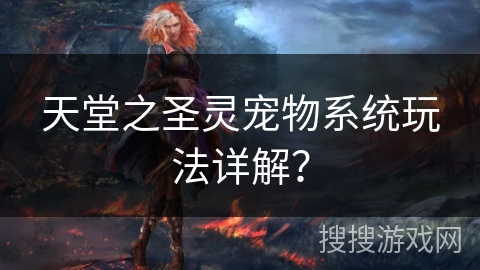 天堂之圣灵宠物系统玩法详解？