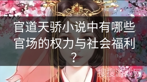 官道天骄小说中有哪些官场的权力与社会福利？