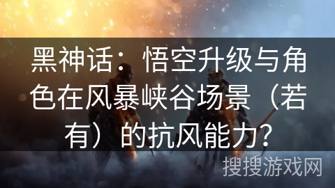 黑神话：悟空升级与角色在风暴峡谷场景（若有）的抗风能力？