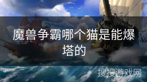 魔兽争霸哪个猫是能爆塔的