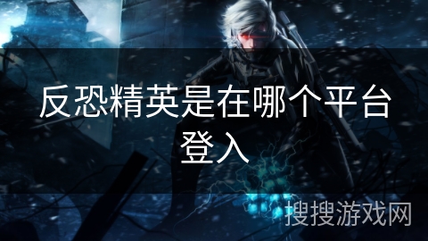 反恐精英是在哪个平台登入