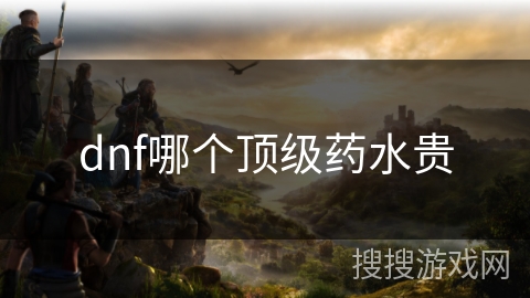 dnf哪个顶级药水贵