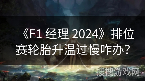 《F1 经理 2024》排位赛轮胎升温过慢咋办？