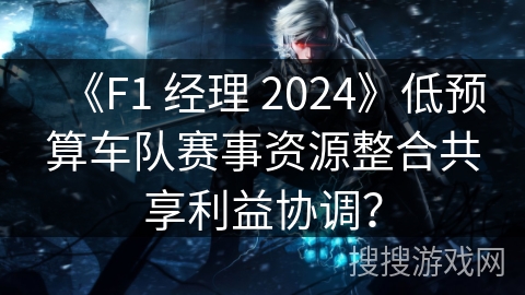 《F1 经理 2024》低预算车队赛事资源整合共享利益协调？