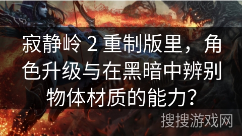 寂静岭 2 重制版里，角色升级与在黑暗中辨别物体材质的能力？