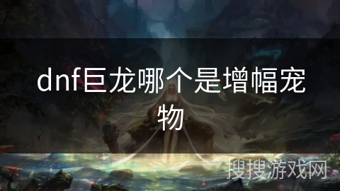 dnf巨龙哪个是增幅宠物