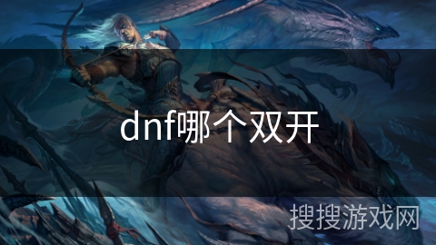 dnf哪个双开