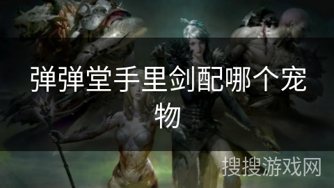 弹弹堂手里剑配哪个宠物