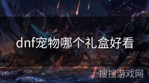 dnf宠物哪个礼盒好看
