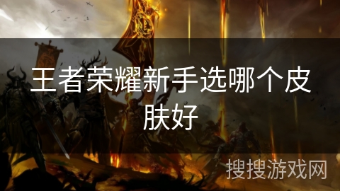 王者荣耀新手选哪个皮肤好