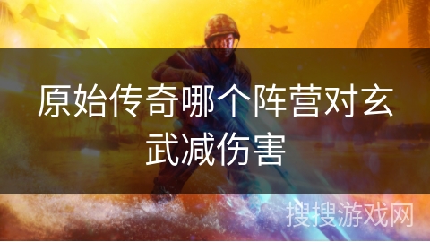 原始传奇哪个阵营对玄武减伤害