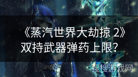 《蒸汽世界大劫掠 2》双持武器弹药上限？