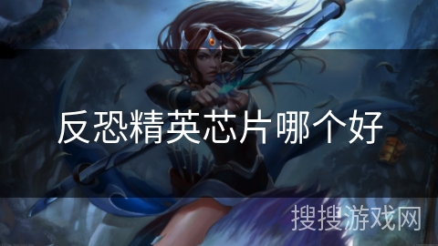 反恐精英芯片哪个好 反恐精英芯片哪个好