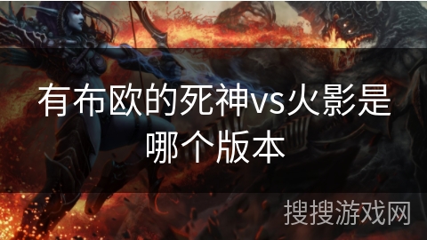 有布欧的死神vs火影是哪个版本