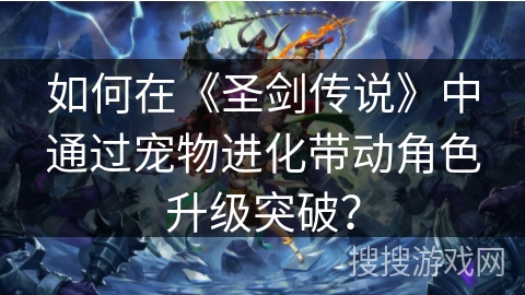 如何在《圣剑传说》中通过宠物进化带动角色升级突破？