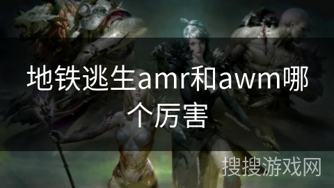 地铁逃生amr和awm哪个厉害