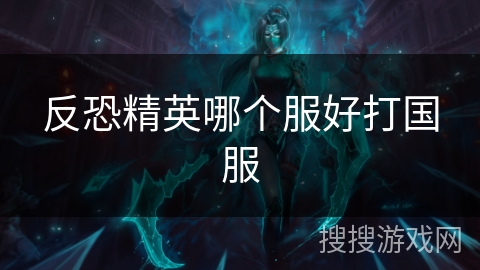 反恐精英哪个服好打国服