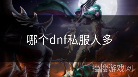 哪个dnf私服人多 哪个dnf私服人多