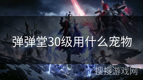 弹弹堂30级用什么宠物