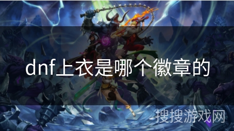 dnf上衣是哪个徽章的