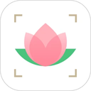 识花App