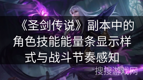 《圣剑传说》副本中的角色技能能量条显示样式与战斗节奏感知