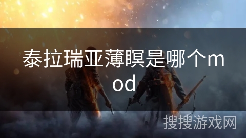 泰拉瑞亚薄瞑是哪个mod