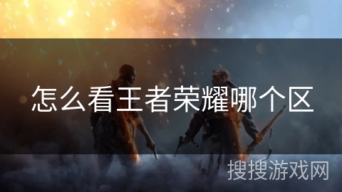 怎么看王者荣耀哪个区 怎么看王者荣耀哪个区